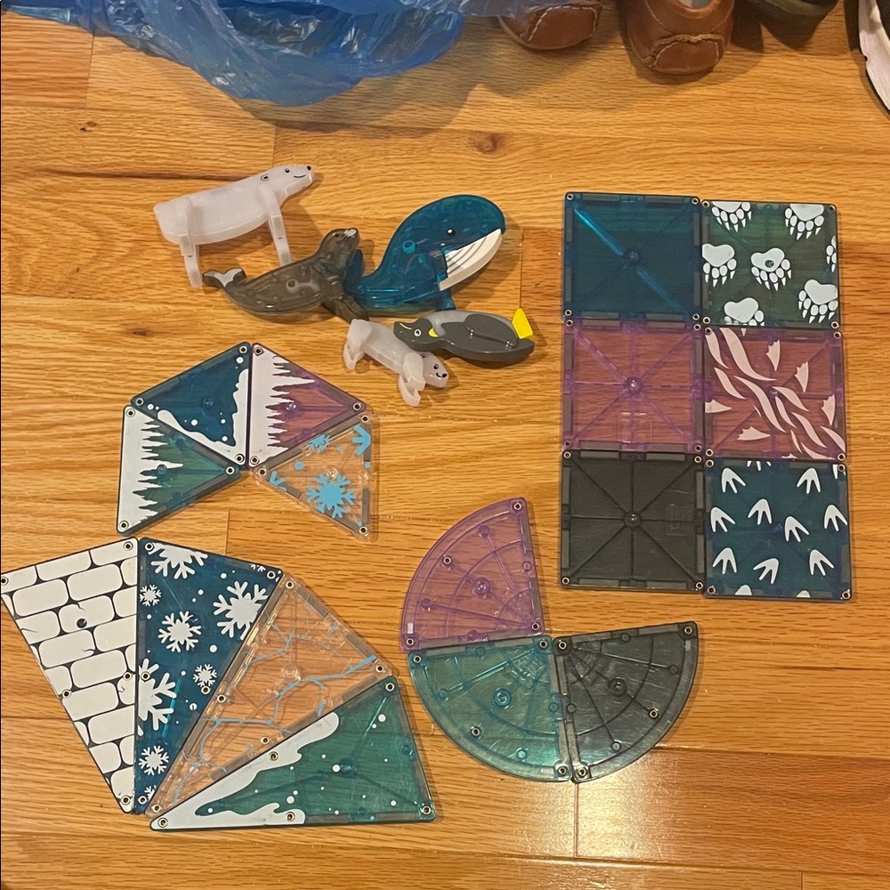 Arctic animals magnatiles